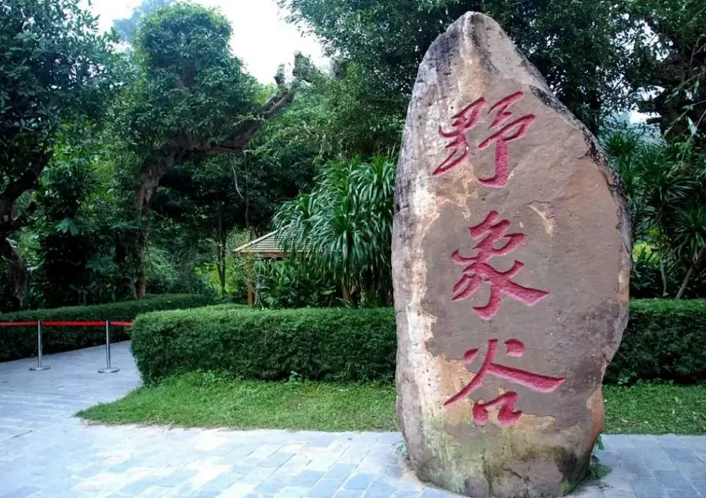 西雙版納野象谷