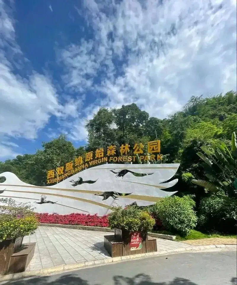 西雙版納原始森林公園
