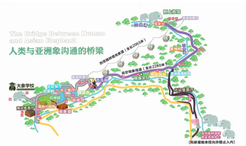 西雙版納野象谷