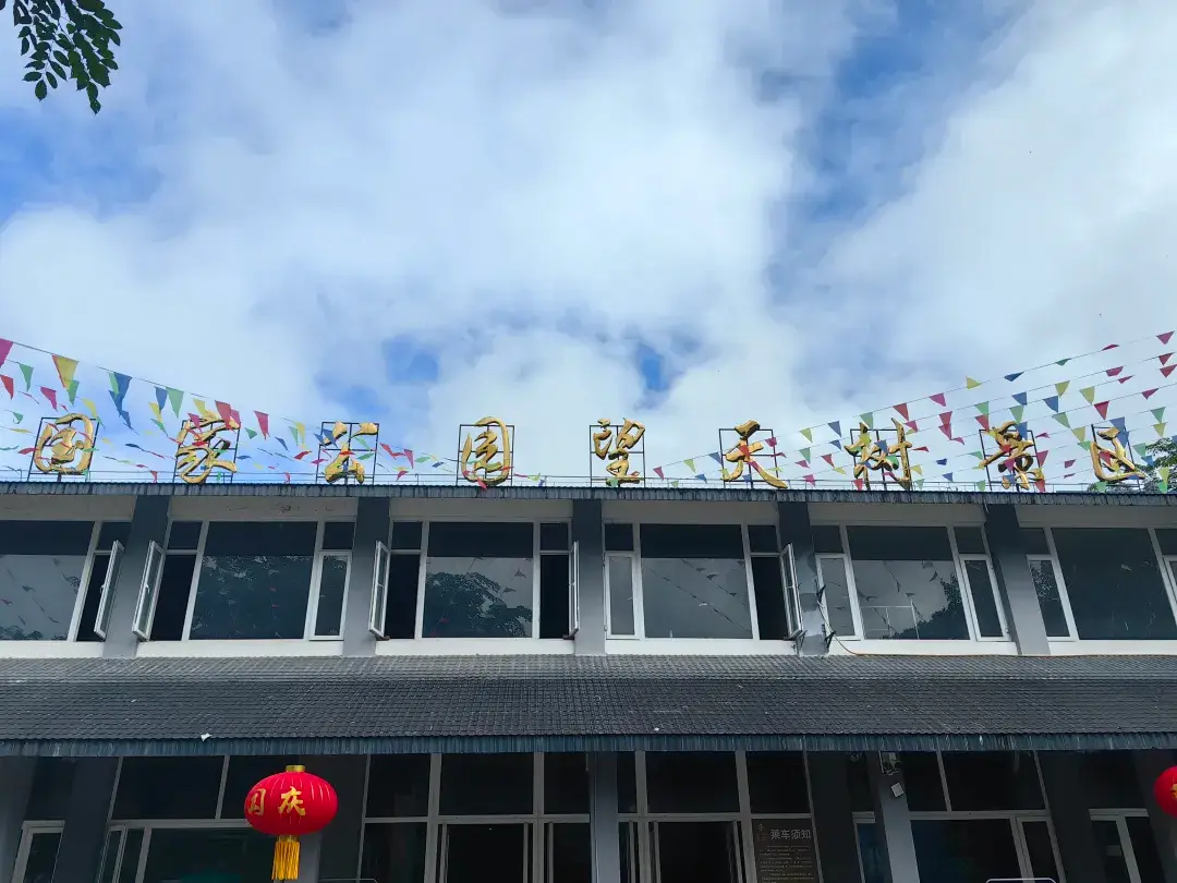 漫步望天樹景區