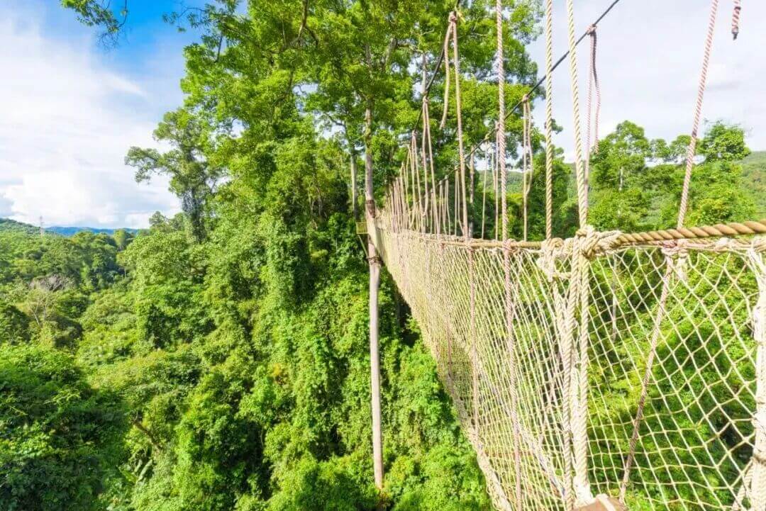 西雙版納旅遊攻略