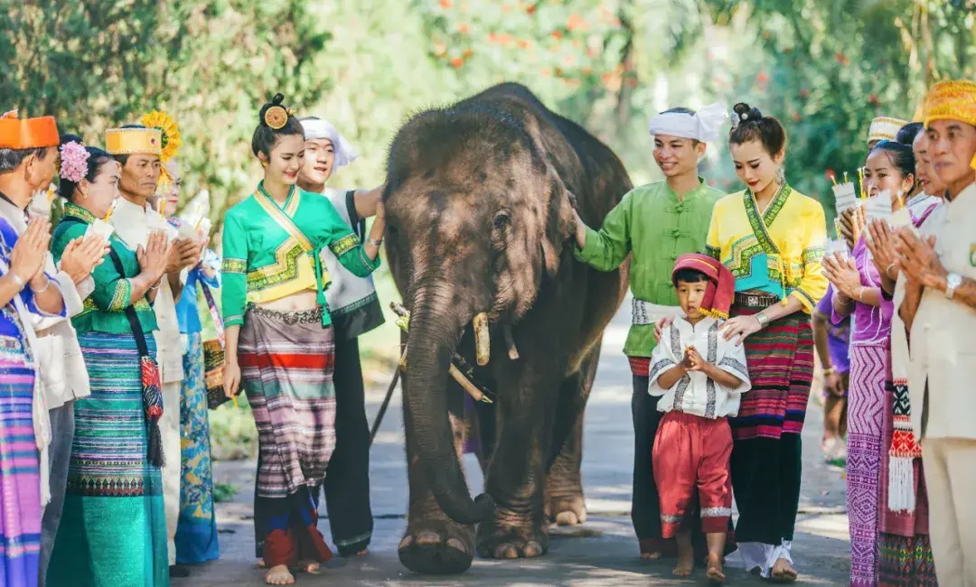 西雙版納攻略：核心景點 + 特色體驗全解析，雨林與風情的極致碰撞
