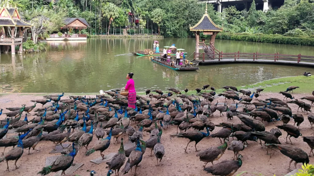 西雙版納原始森林公園