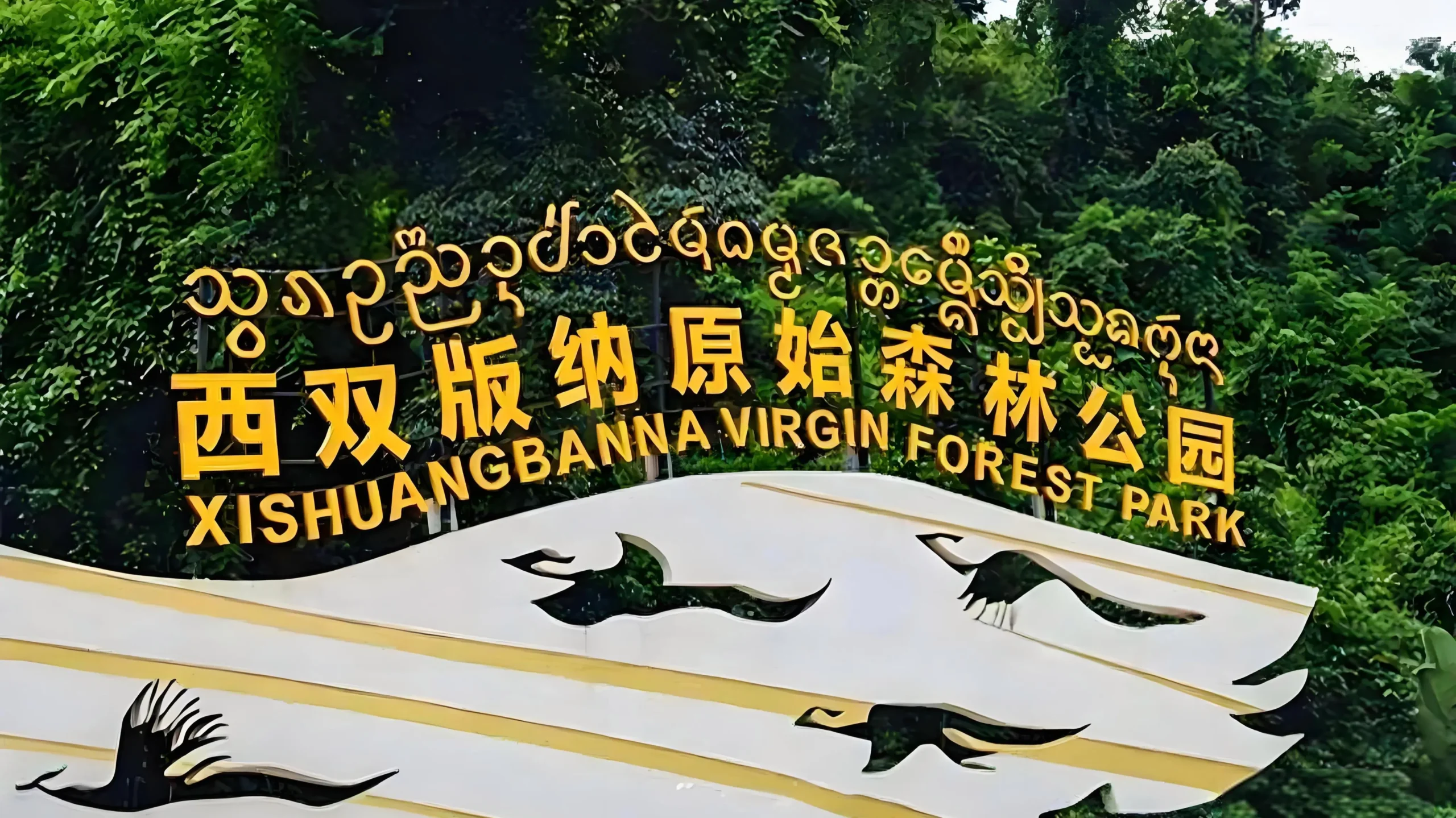 西雙版納原始森林公園：雨林秘境與民族風情的完美交融