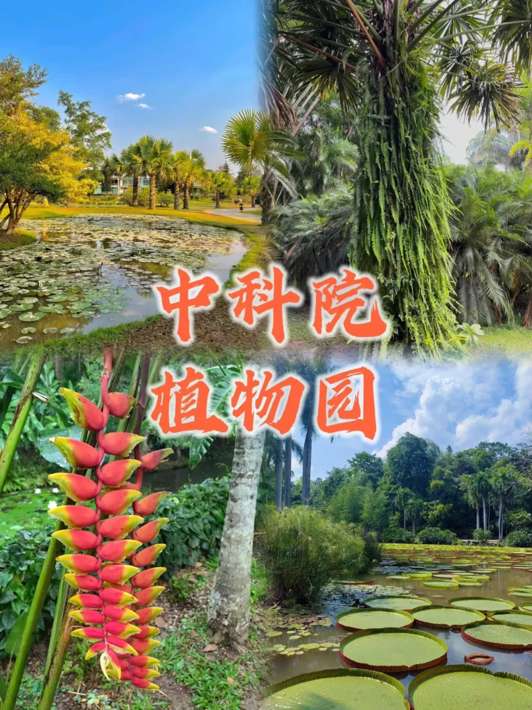 西雙版納植物園