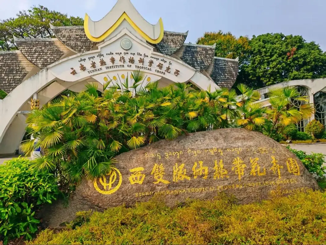 西雙版納熱帶花卉園：雨林深處的奇花異境與人文印記