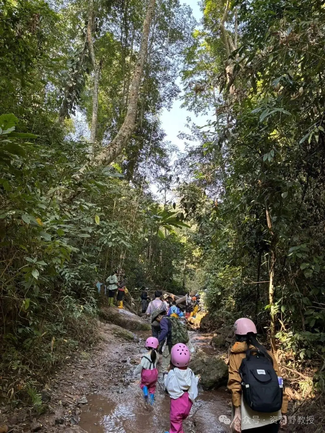 西雙版納最推薦的親子玩法及超詳攻略