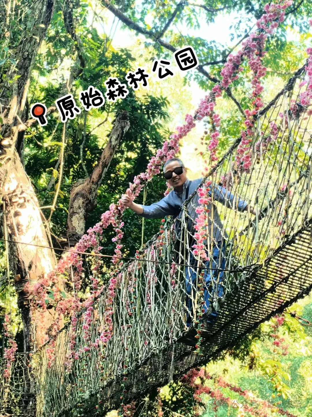 西雙版納旅遊攻略（4天）：本地人建議與景點美食住宿推薦