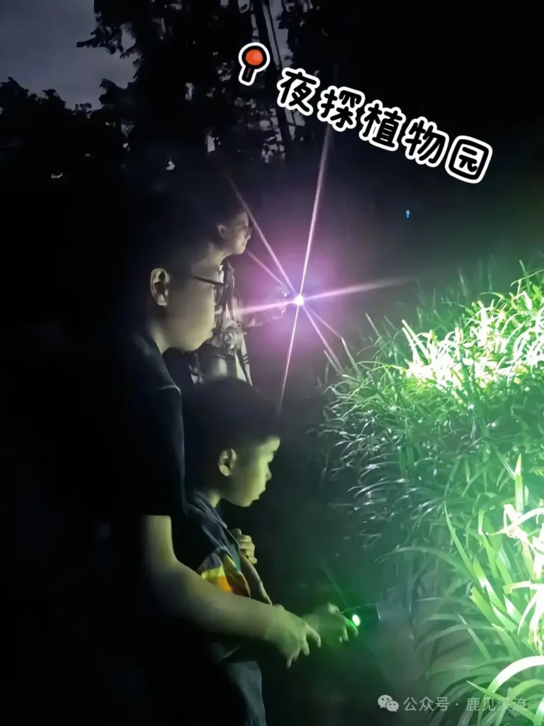 西雙版納旅遊攻略