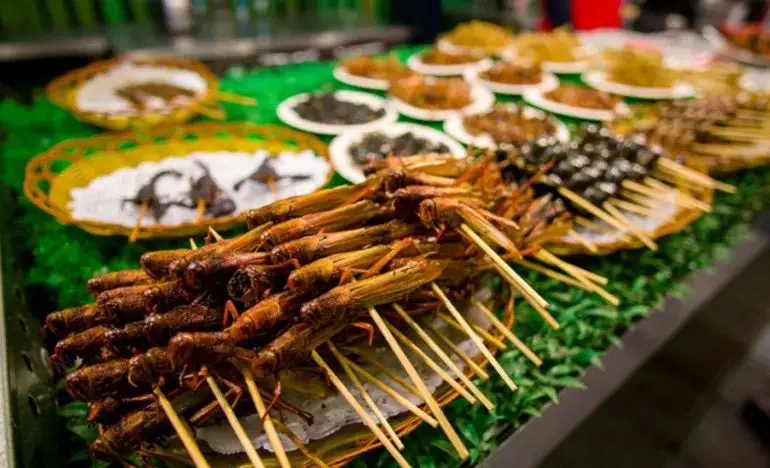 蟲宴(蚱蜢、蠍子、竹蟲、蜜蜂幼蟲等)