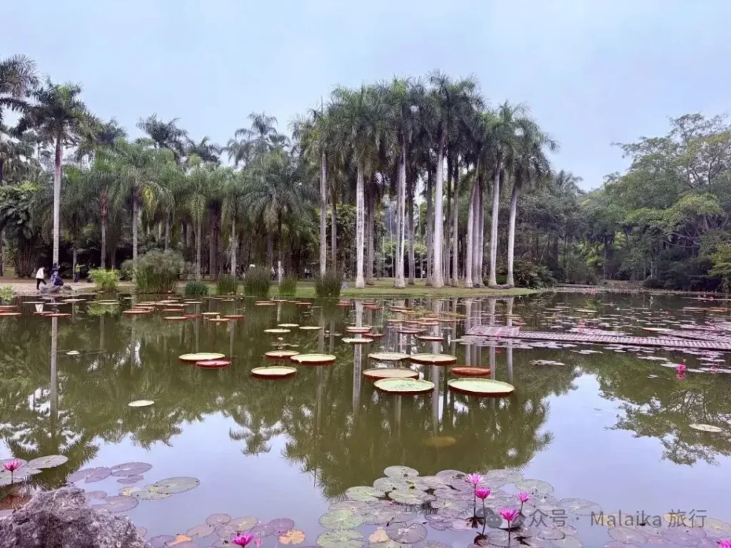 西雙版納深度旅遊攻略