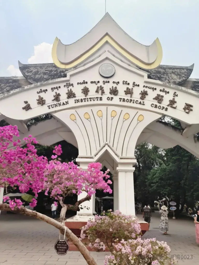 西雙版納三日遊攻略