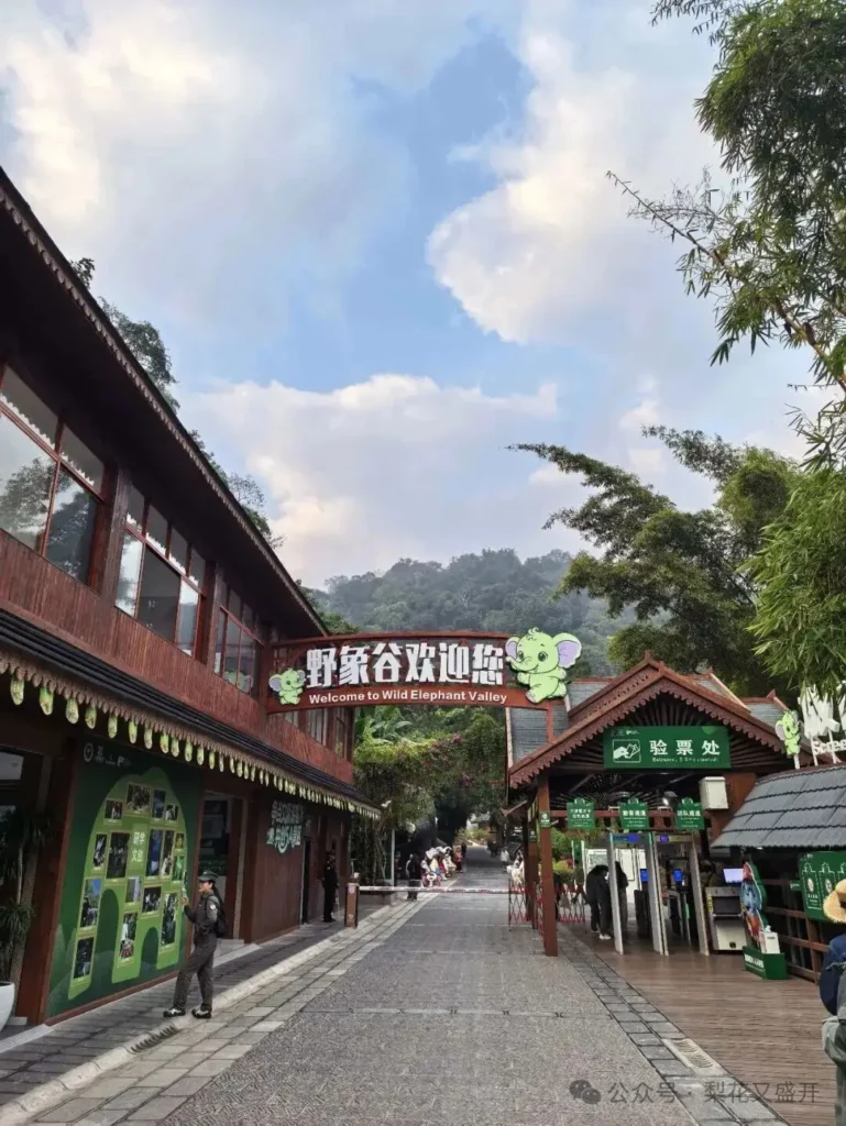 西雙版納自由行